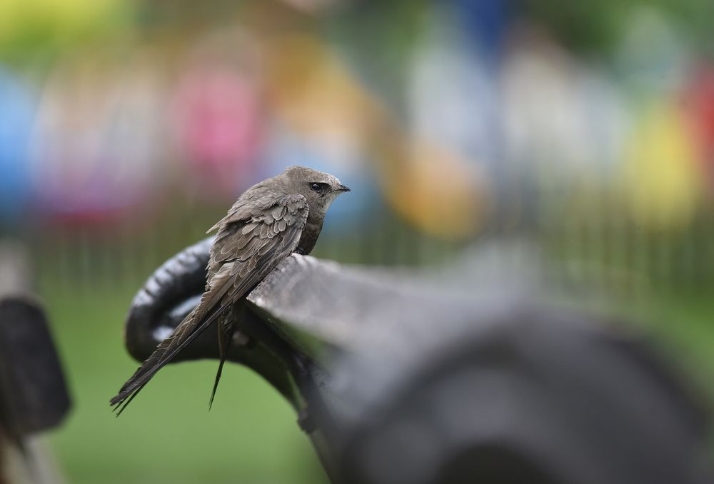 Photograph by Александра Иванова