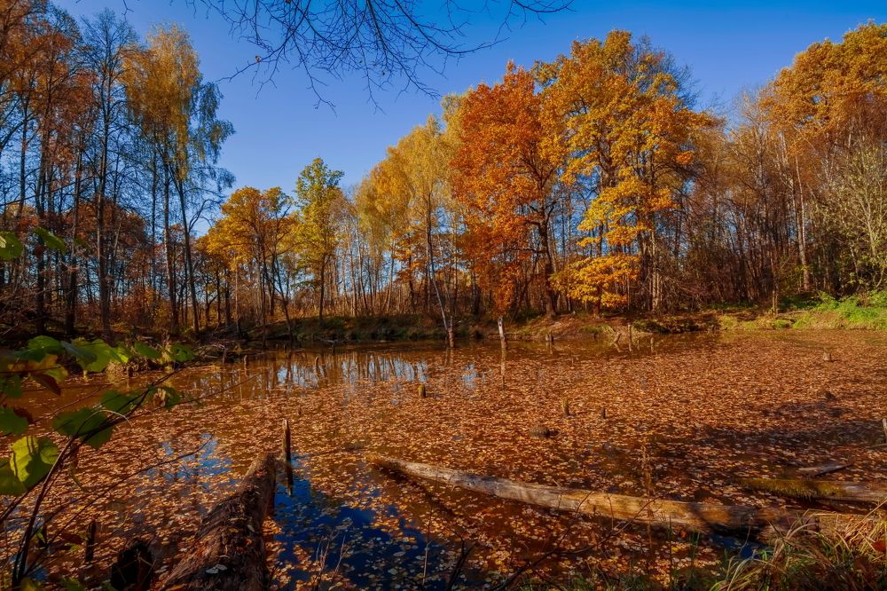 Photograph by Дмитрий Сундеев