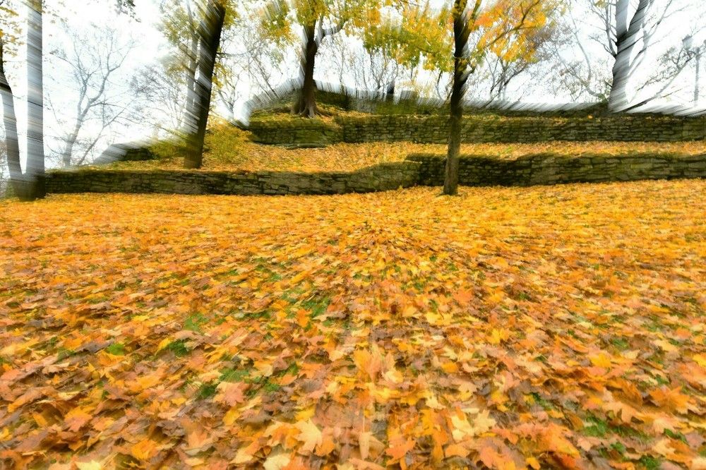 Движение осени.