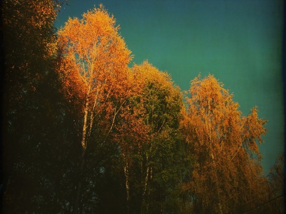 Photograph by Алиса Фокина