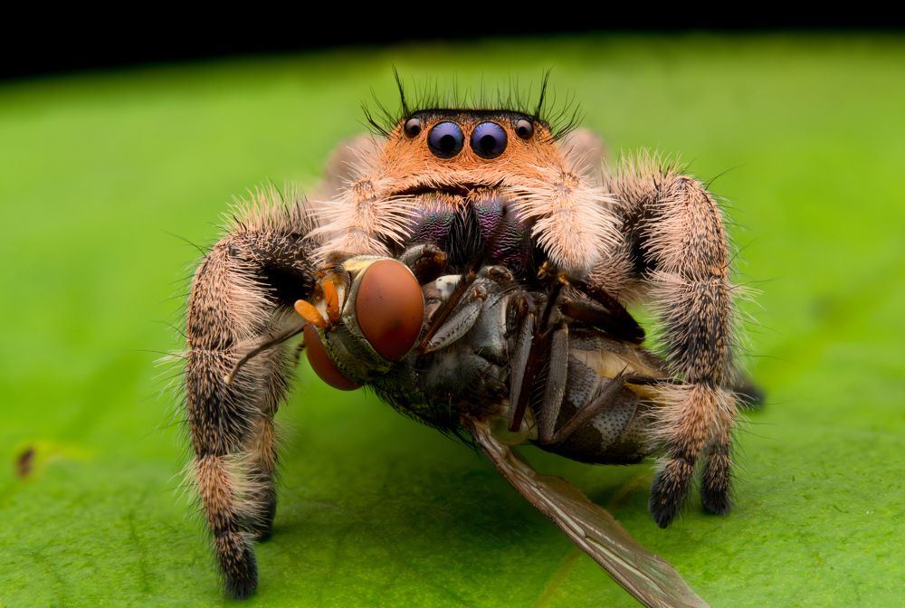 Photograph by Wildan Ardani