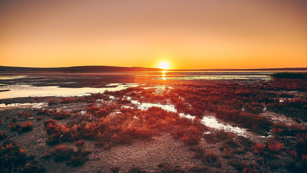 Photograph by Изет Фазылов