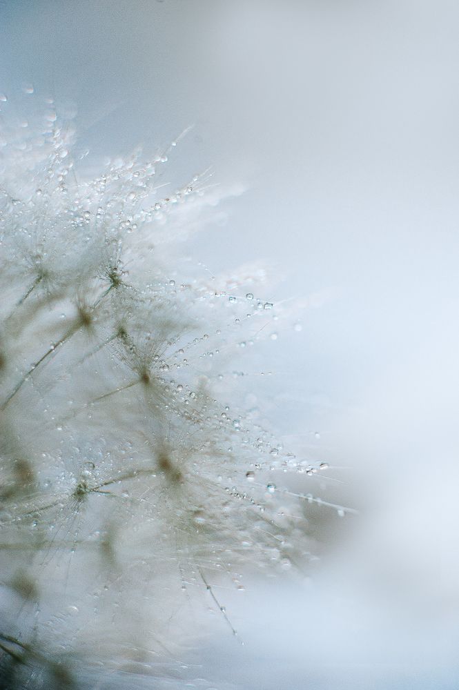 Photograph by Елена