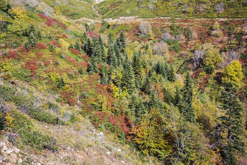 Photograph by Галина Арсеньева