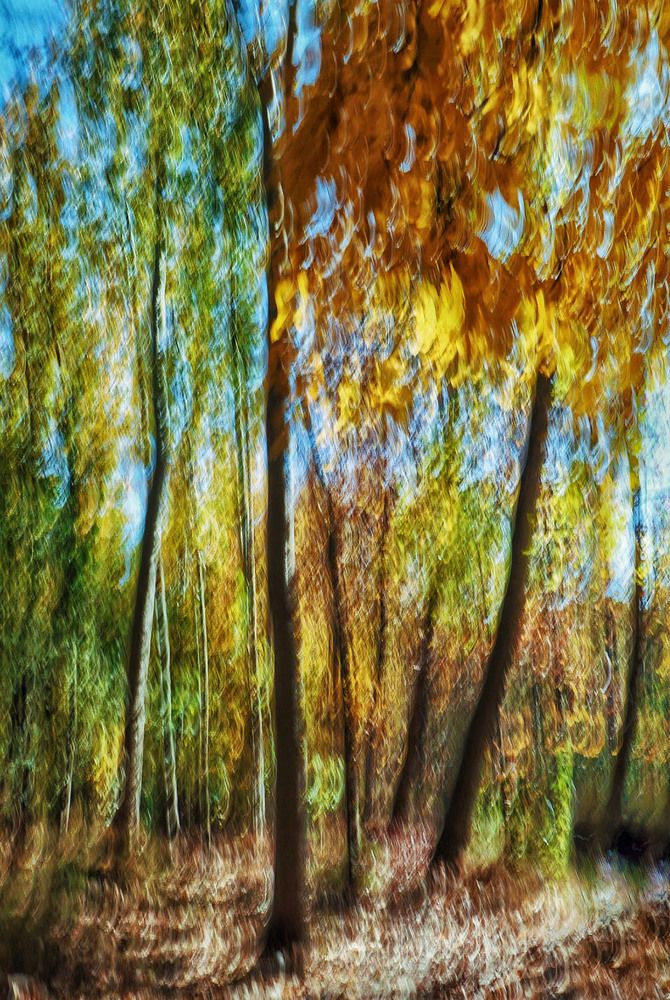 Photograph by Sara Karimi