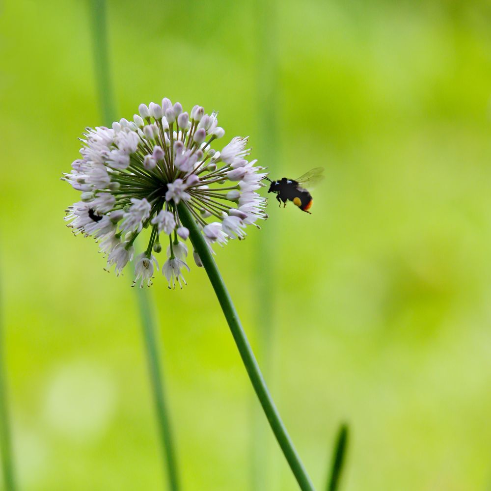 Photograph by Елена Иванова