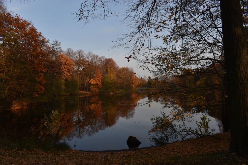 Photograph by Павел Карнаухов