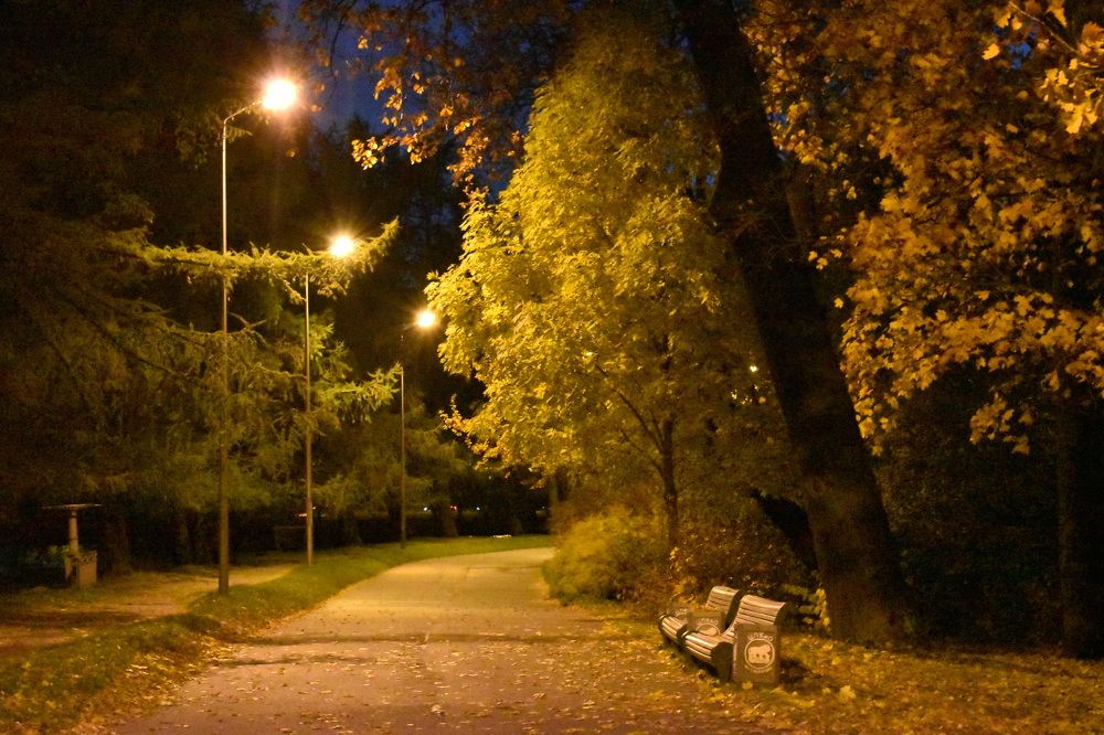 Photograph by Павел Карнаухов