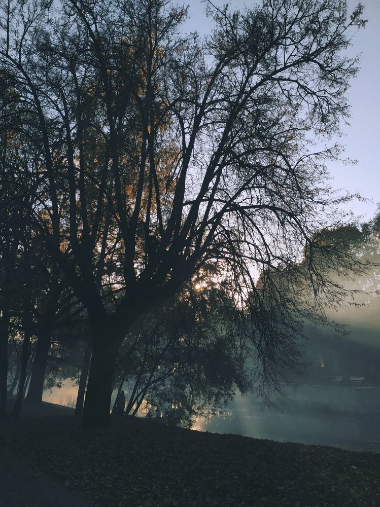 Photograph by Ева Семенникова