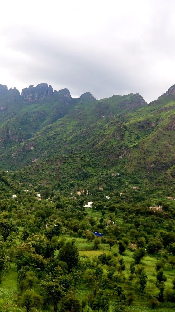 Photograph by Mohammed Saleh Hamood RABEA