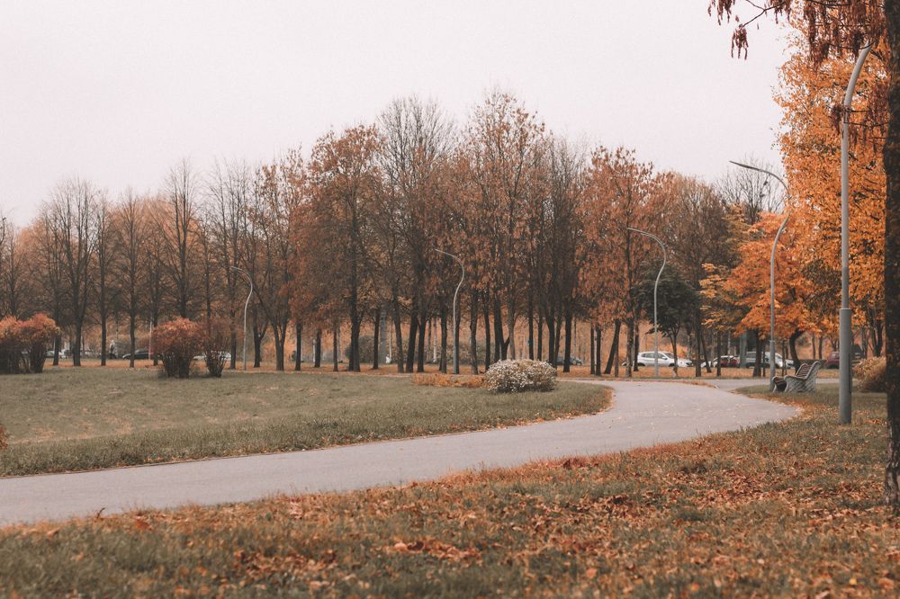 Photograph by Алёна Бабенко