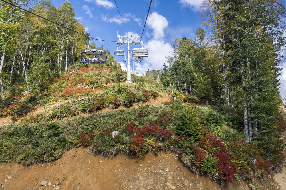 Photograph by Галина Арсеньева