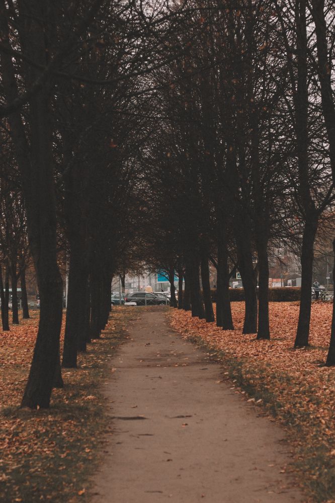 Photograph by Алёна Бабенко