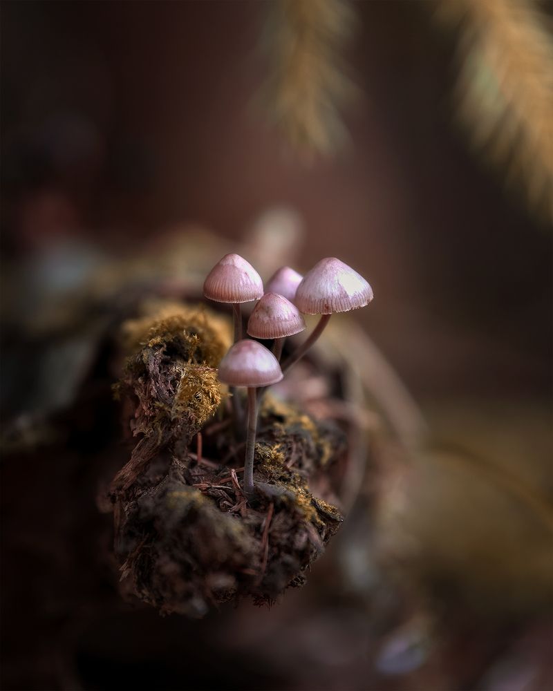 Photograph by Поляков Михаил