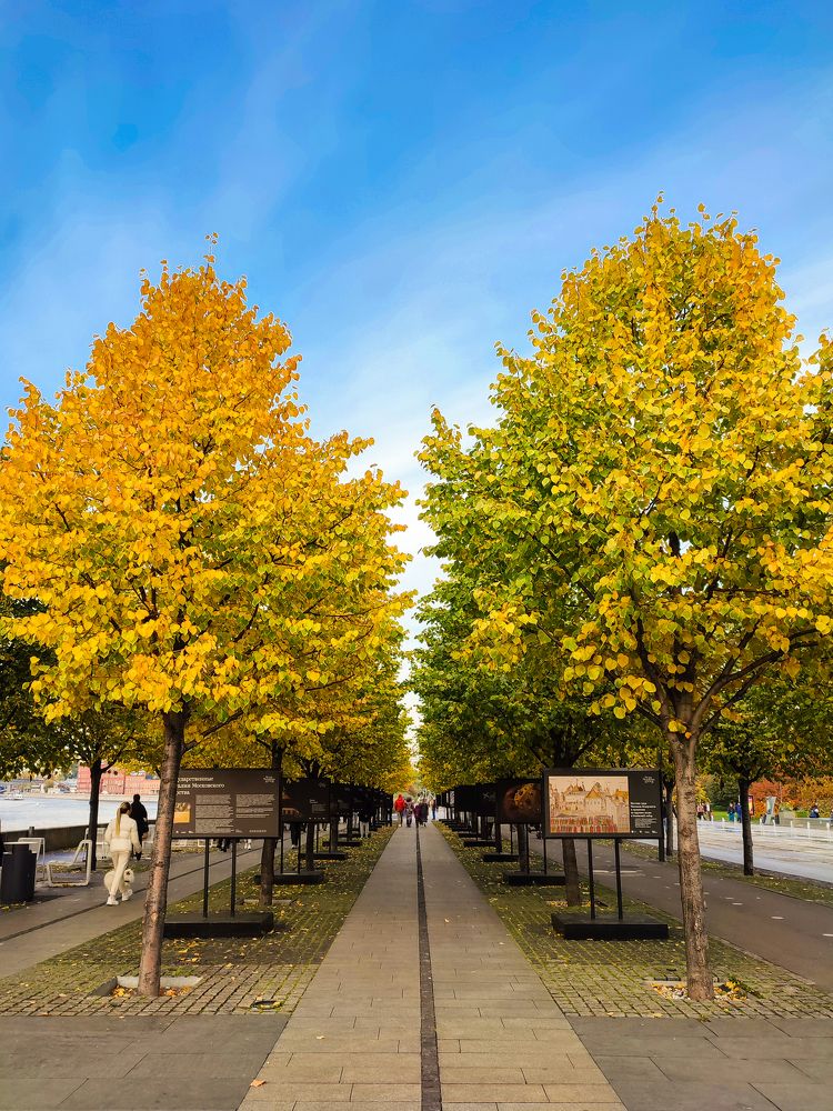 Photograph by Галина Эмберг