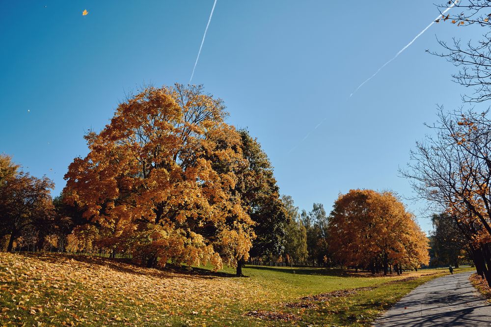 Photograph by Валерий Зенович