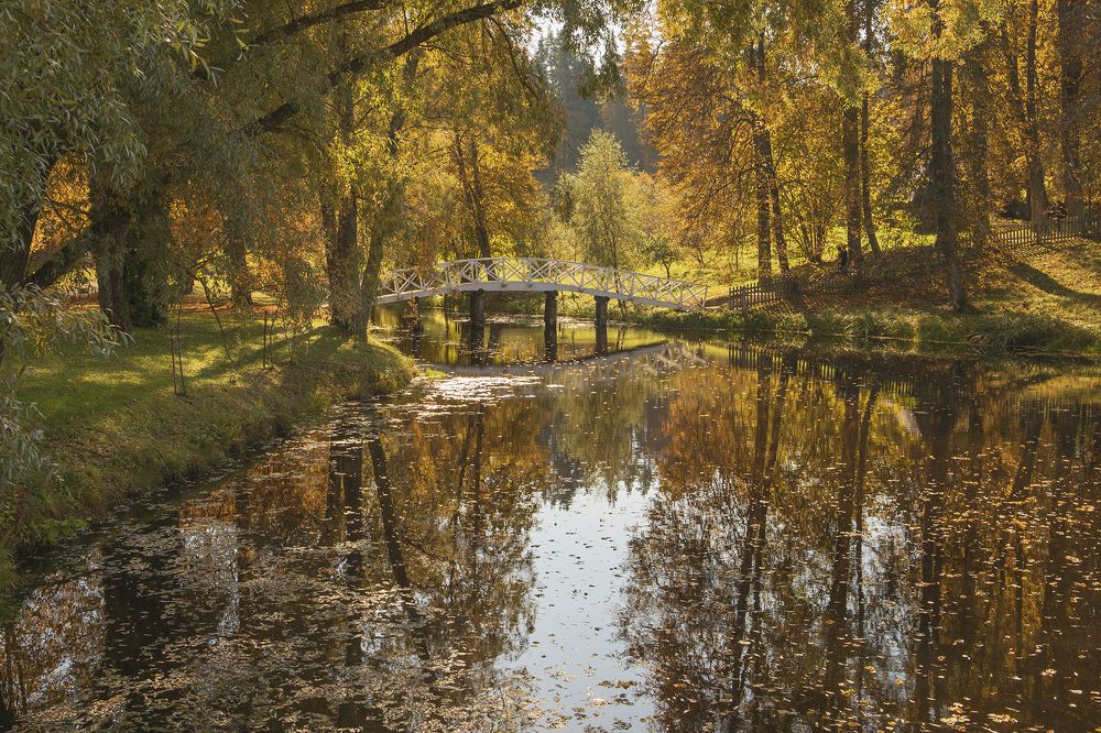 Осень в Михайловском