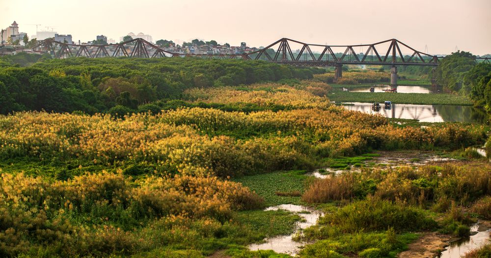 Photograph by Anh Tuấn Trần