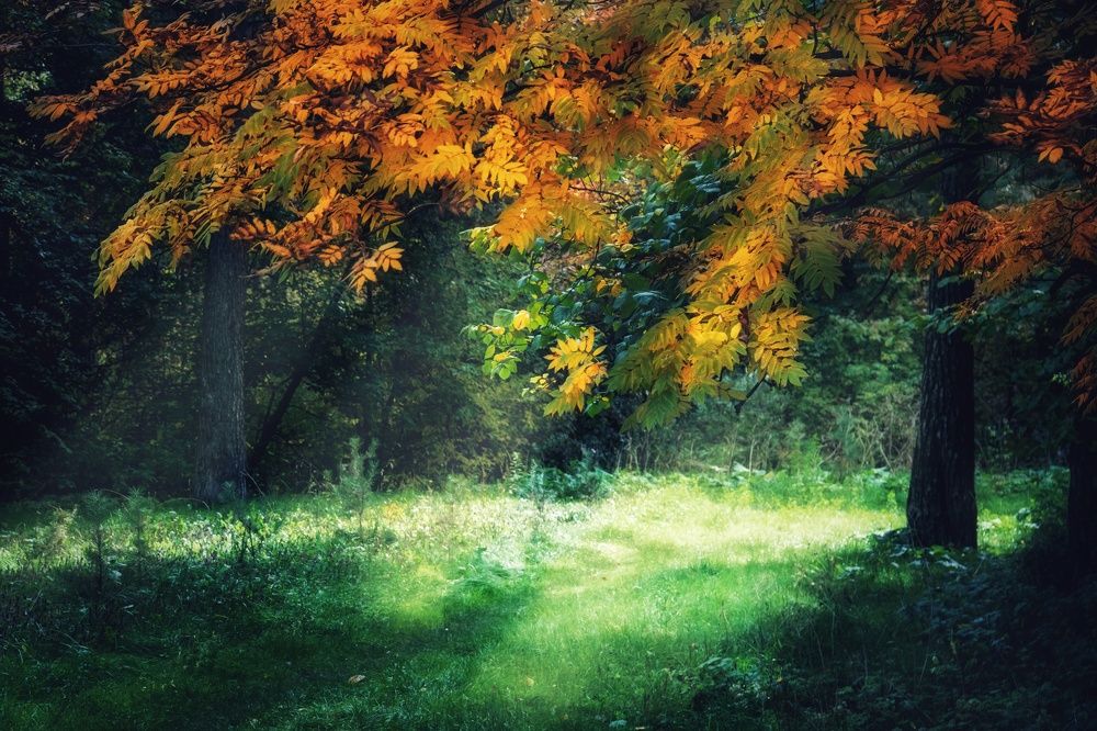 Photograph by Рымаров Александр