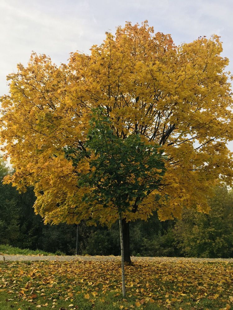 Photograph by Ирина