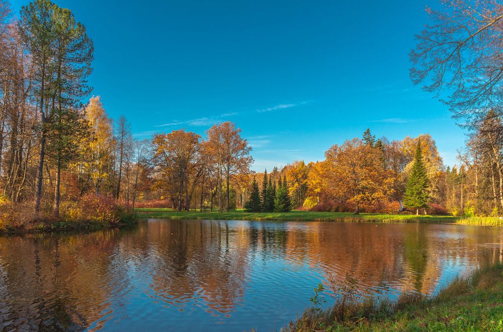 Санкт-Петербург. Осень в Павловске.