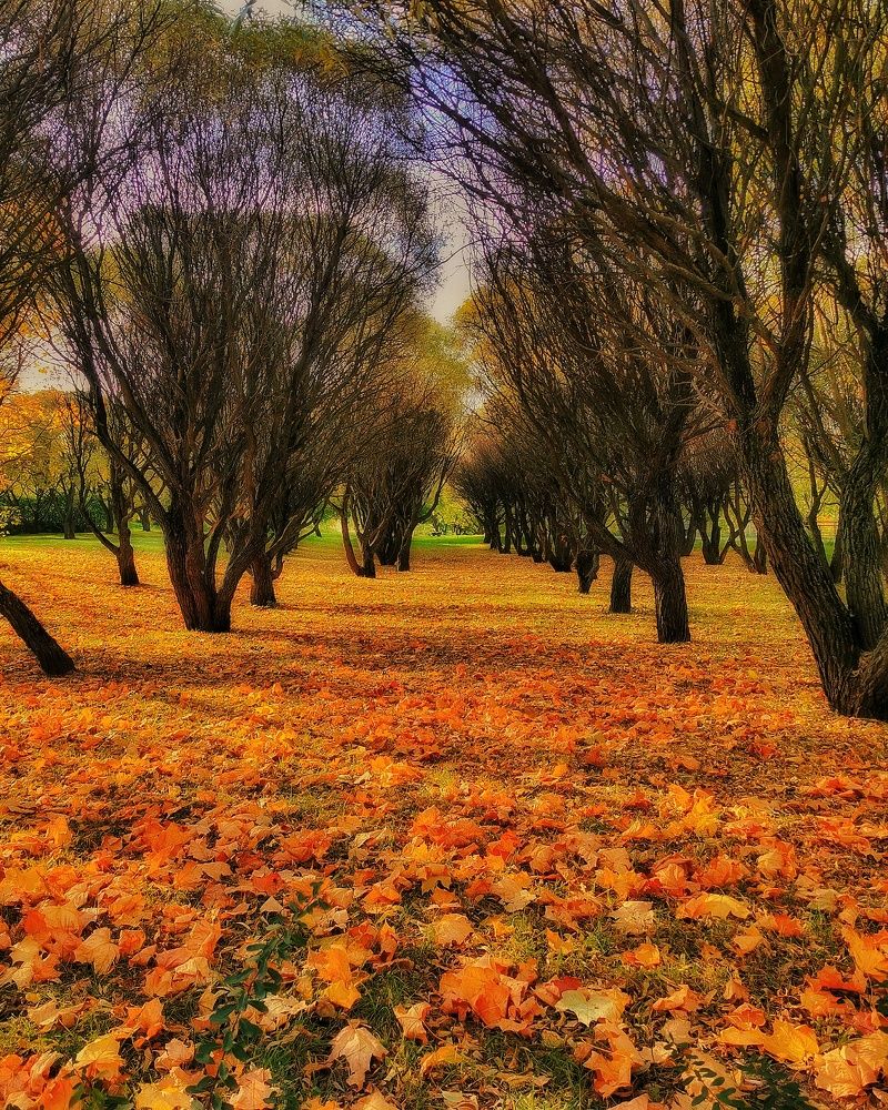 Photograph by Наталья Асоскова