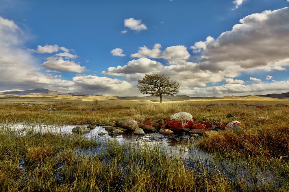 Photograph by Андрей Кузнецов