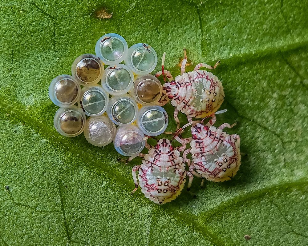 Photograph by Rahul Dey