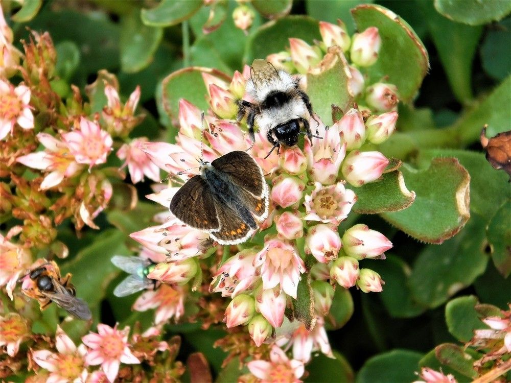 Photograph by Чкареули Светлана