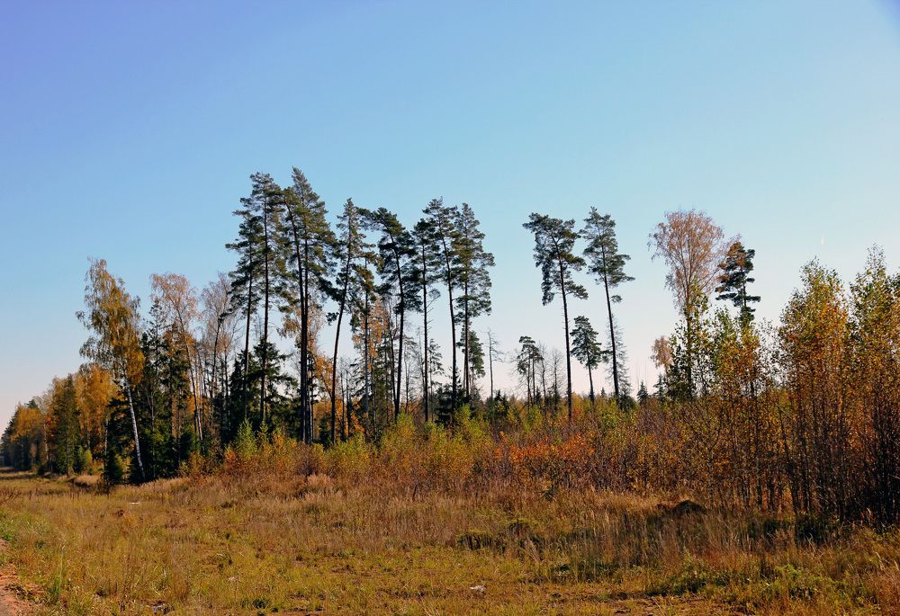 Photograph by Александр Бугаенко