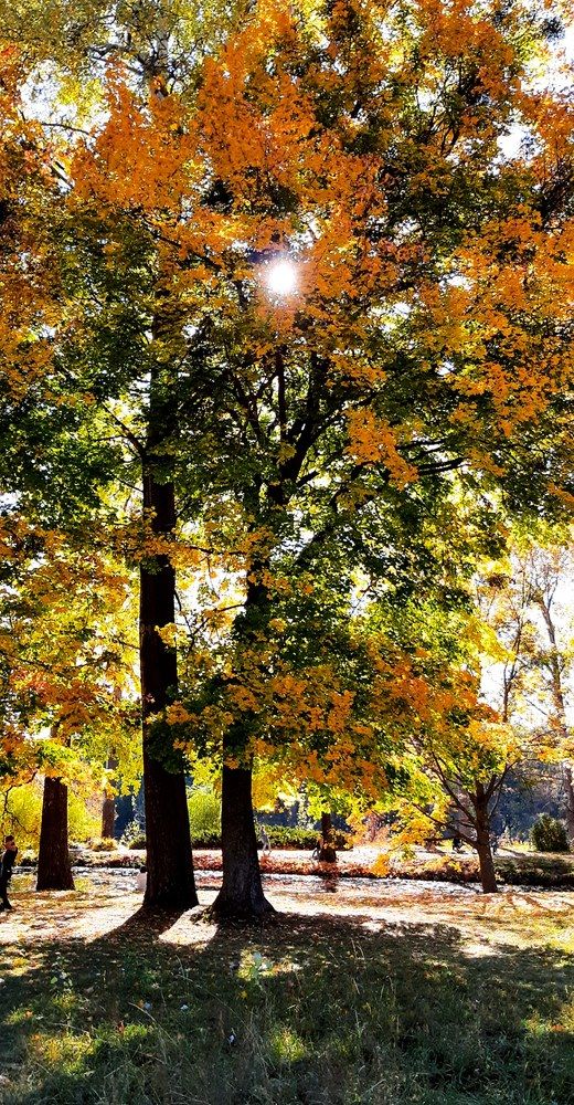 Photograph by Елена Твардовськая