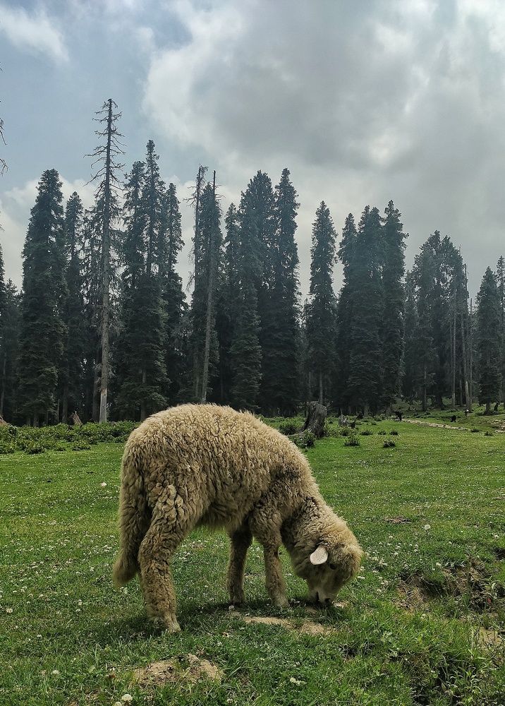 Photograph by Arjumandbaigh