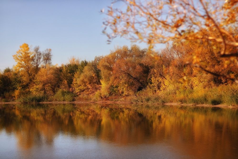 Осень в деревне