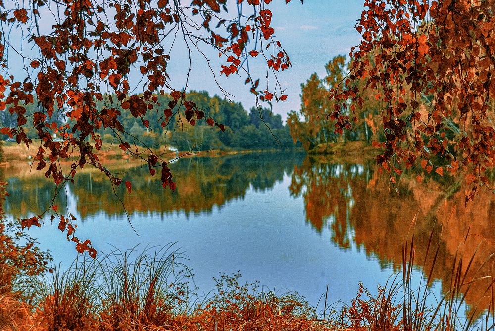 Фотография автора Елена Савельева