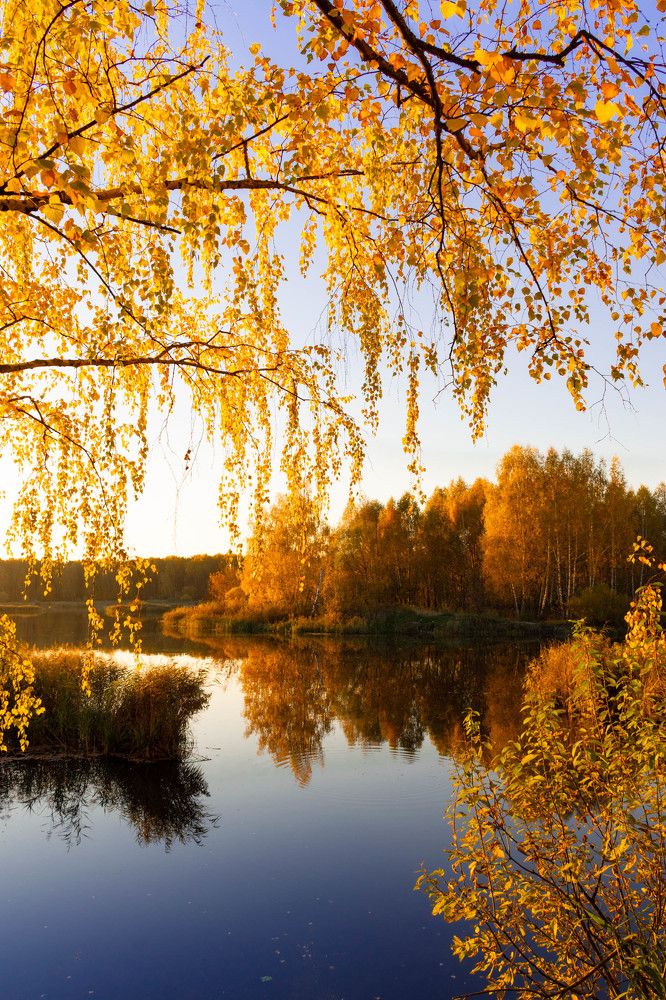 Осеннее безмолвие