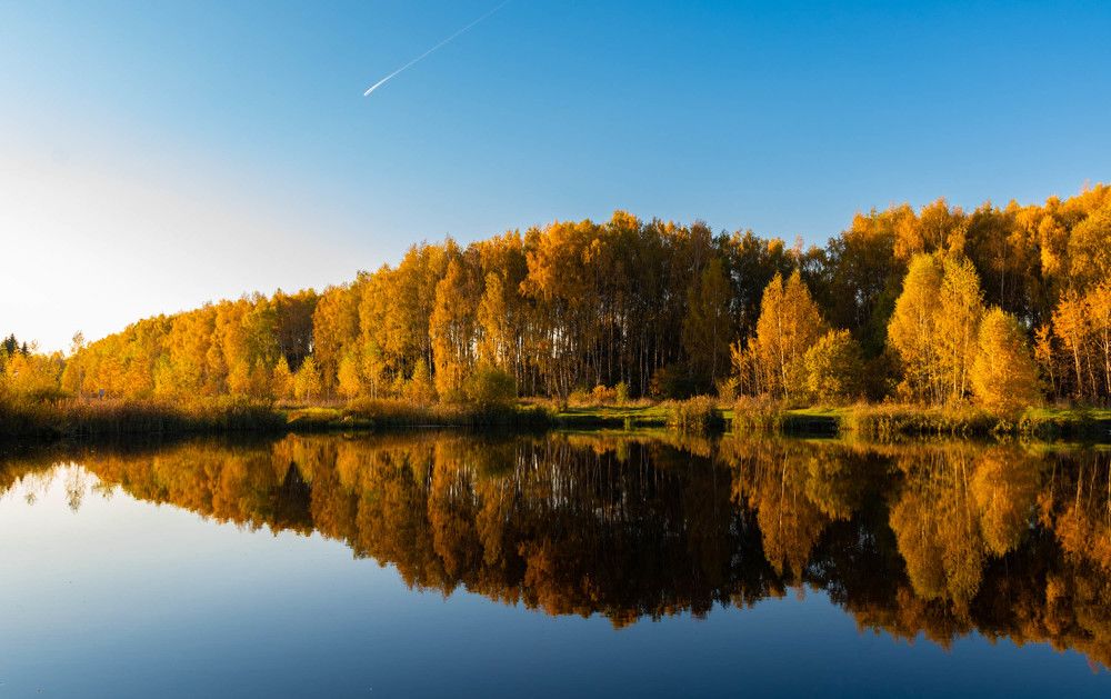 Photograph by Галина Эмберг