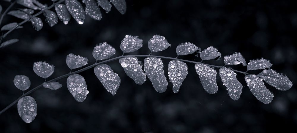 Photograph by Ави Христова