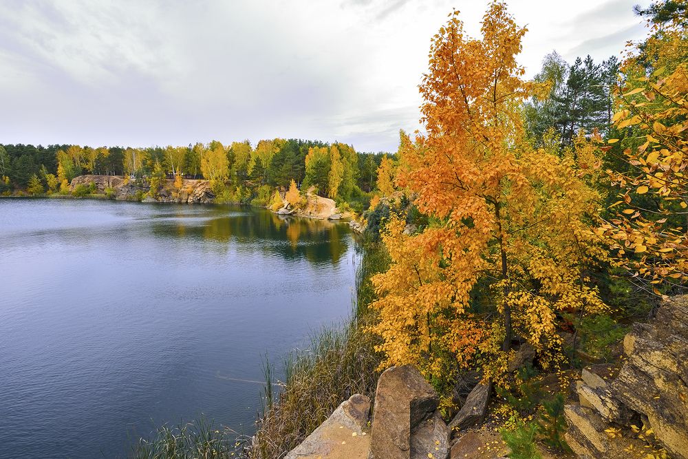 Золотая осень