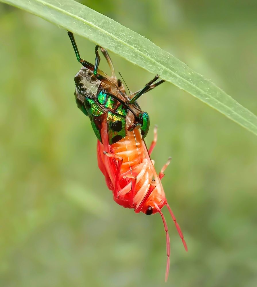 Photograph by Subhajit Jana