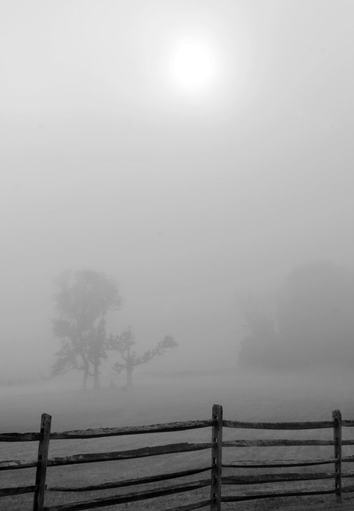 Осень у ворот