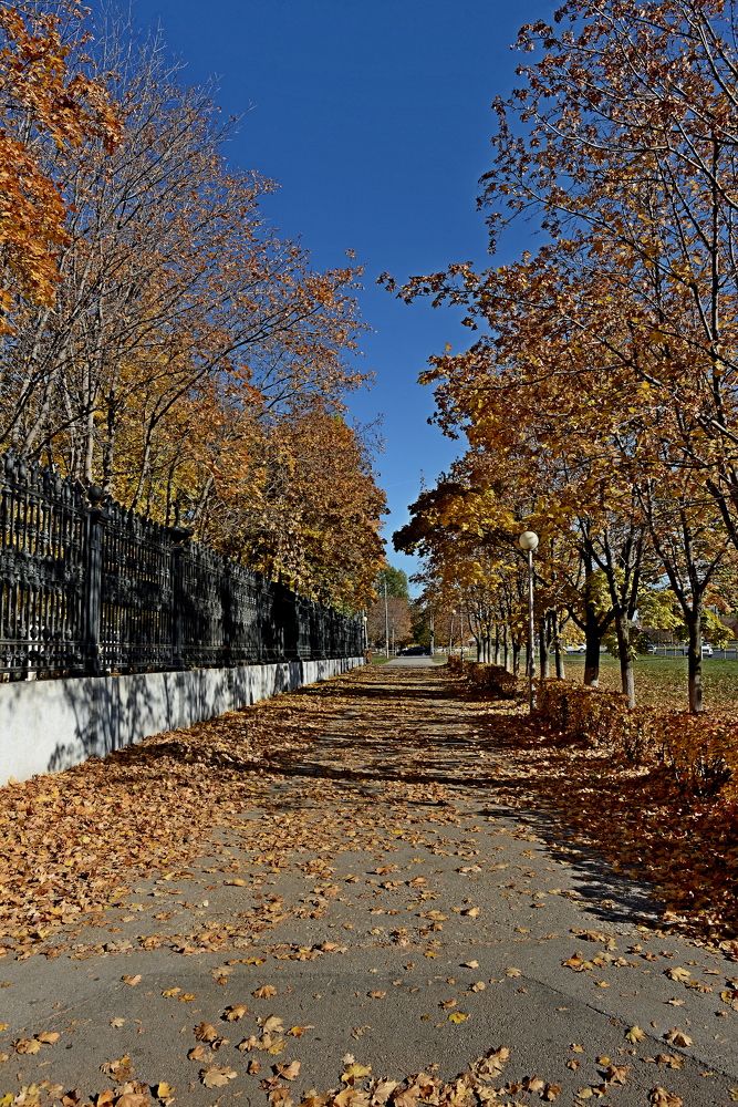 Photograph by Алексей Козлов