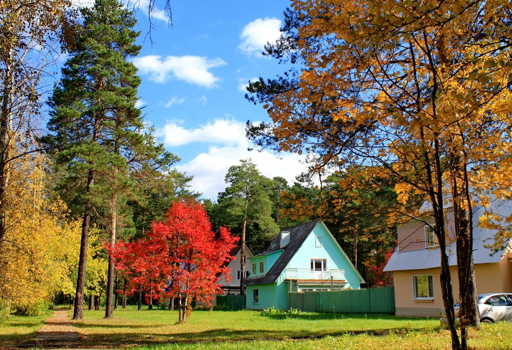 осенние краски