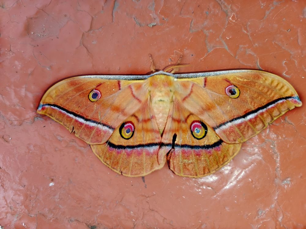 Photograph by Дмитрий Ронжин