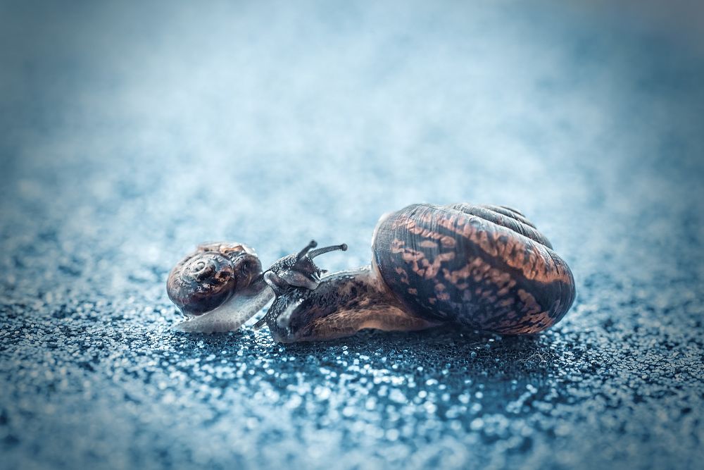 Photograph by Ольга Рагинская