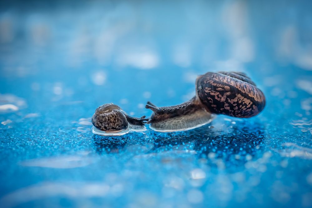 Photograph by Ольга Рагинская