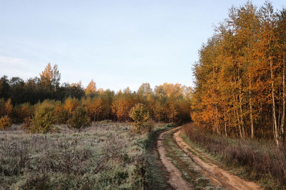 Photograph by Екатерина Карелина