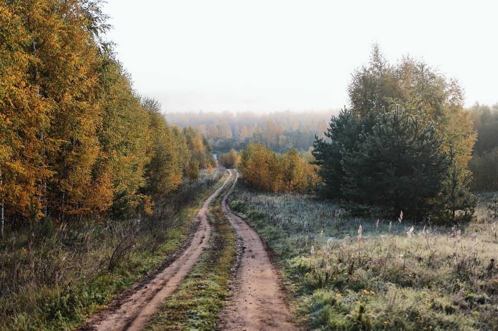 Photograph by Екатерина Карелина