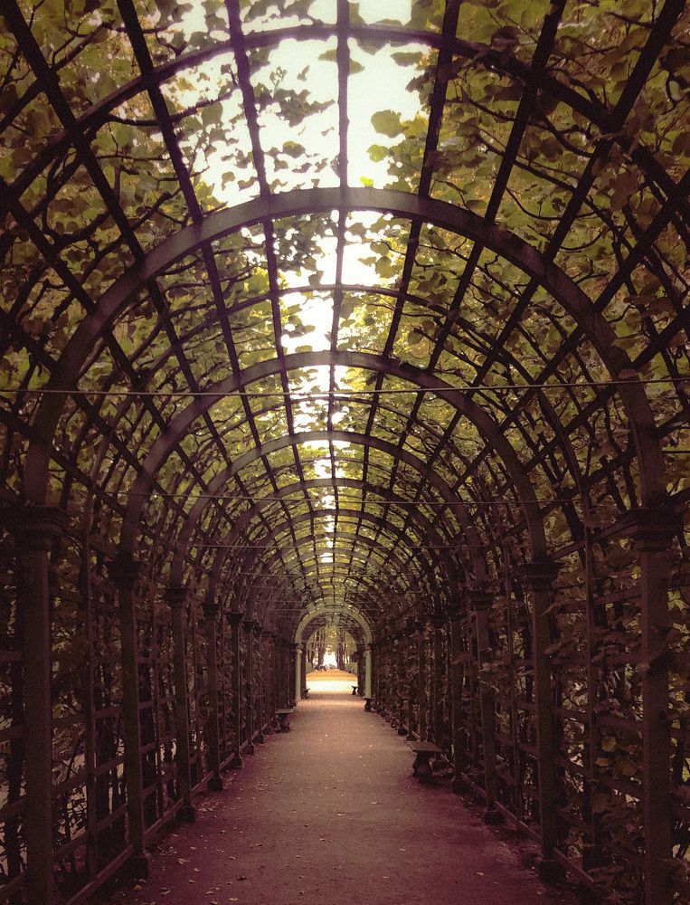 Дорога времени