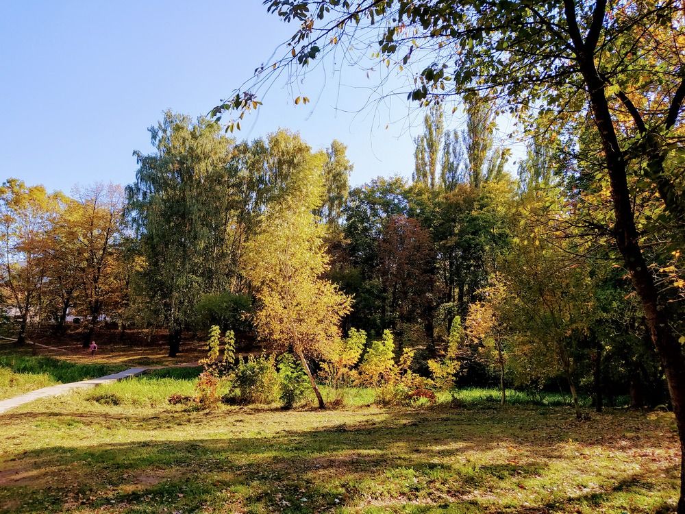 Photograph by Ирина Пшеничникова