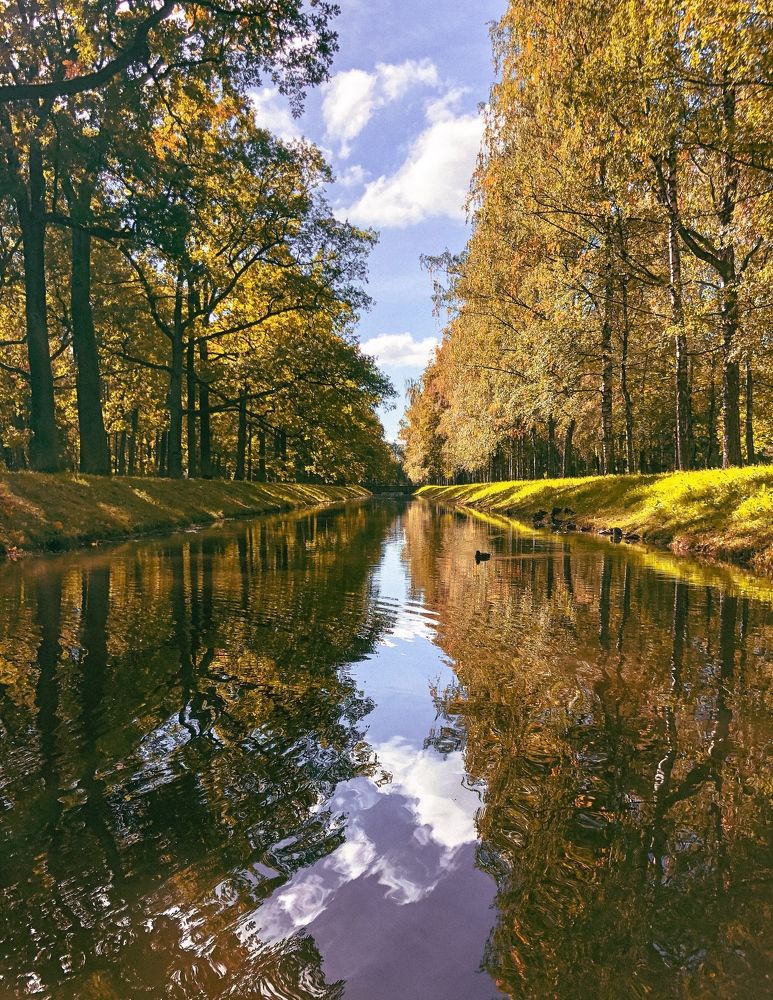 Photograph by Гордеева Ирина